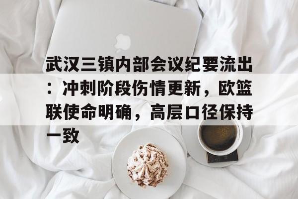 aiyouxi game-包含武汉三镇内部会议纪要流出：冲刺阶段伤情更新，欧篮联使命明确，高层口径保持一致的词条-aiyouxi game